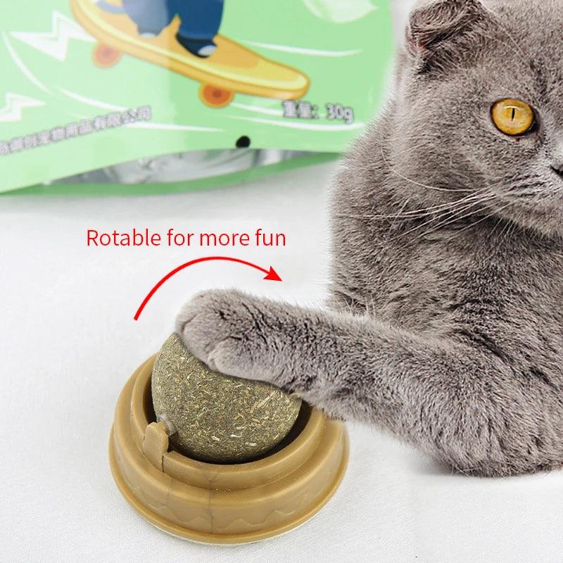 Natural Catnip Wall Ball Toy – Fun & Healthy Treat for Cats