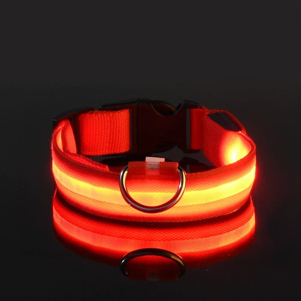 LED Nylon Dog Collar – Night Safety Glow-in-the-Dark Pet Accessory