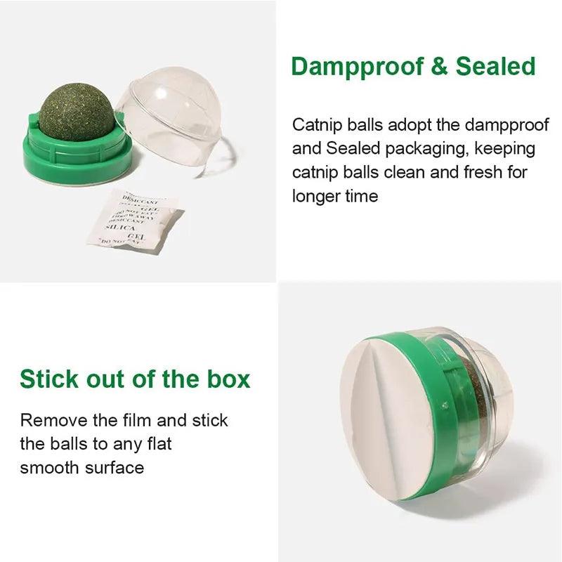 Natural Catnip Wall Ball Toy – Fun & Healthy Treat for Cats