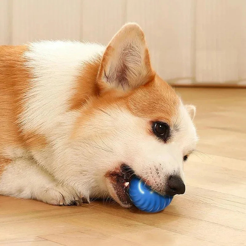 Smart Interactive Dog Toy Ball – USB Rechargeable & Automatic Moving