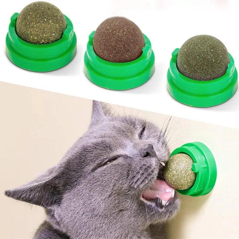 Natural Catnip Wall Ball Toy – Fun & Healthy Treat for Cats