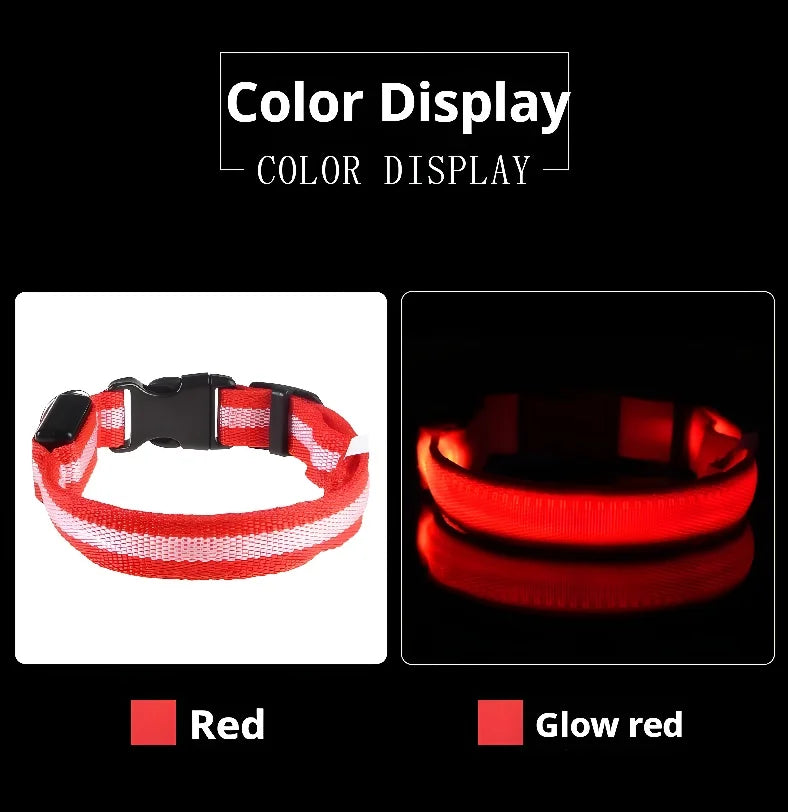 LED Nylon Dog Collar – Night Safety Glow-in-the-Dark Pet Accessory