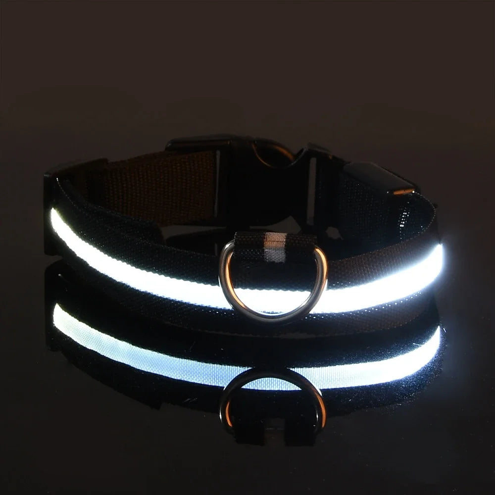 LED Nylon Dog Collar – Night Safety Glow-in-the-Dark Pet Accessory