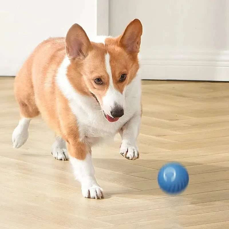 Smart Interactive Dog Toy Ball – USB Rechargeable & Automatic Moving