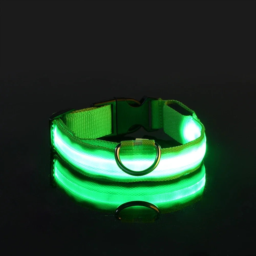 LED Nylon Dog Collar – Night Safety Glow-in-the-Dark Pet Accessory
