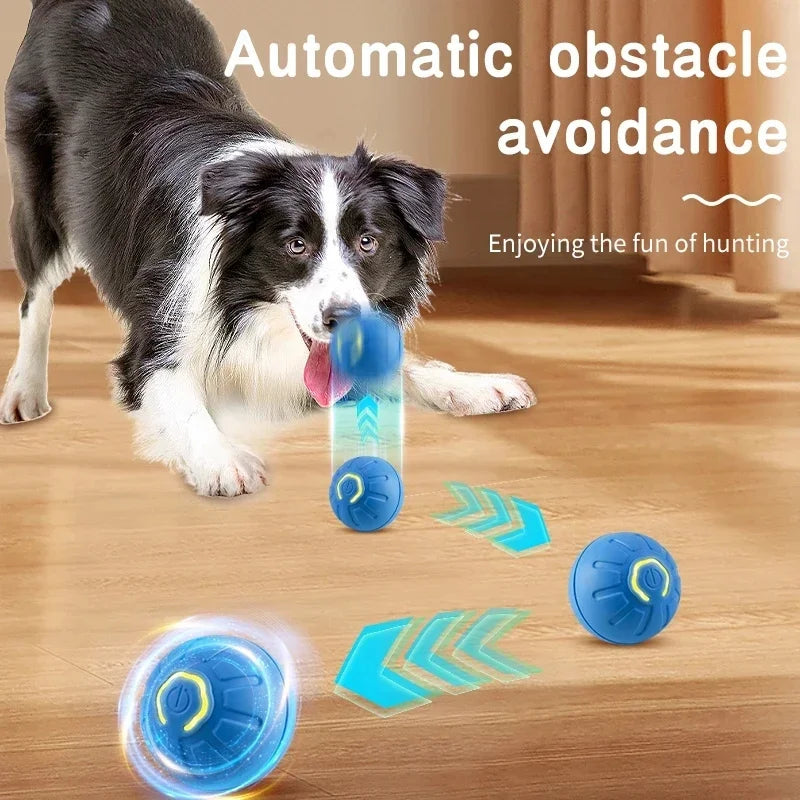 Smart Interactive Dog Toy Ball – USB Rechargeable & Automatic Moving