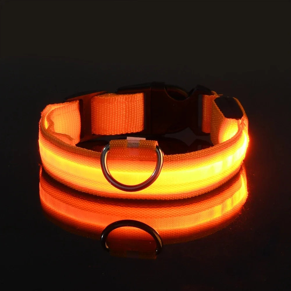 LED Nylon Dog Collar – Night Safety Glow-in-the-Dark Pet Accessory