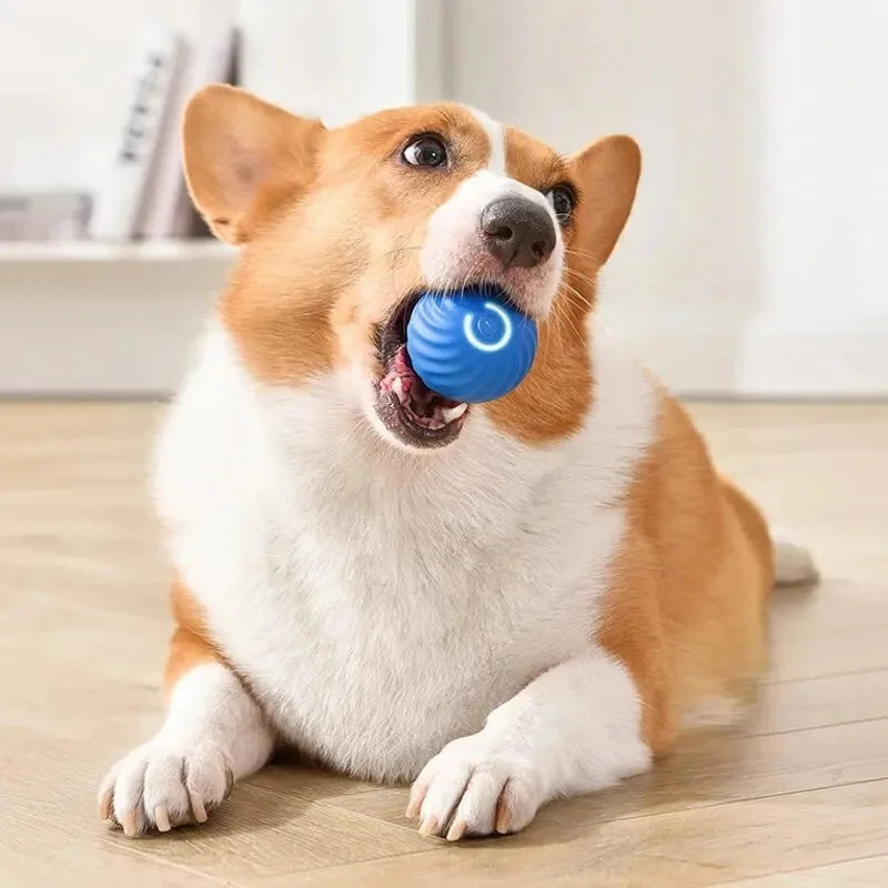 Smart Interactive Dog Toy Ball – USB Rechargeable & Automatic Moving