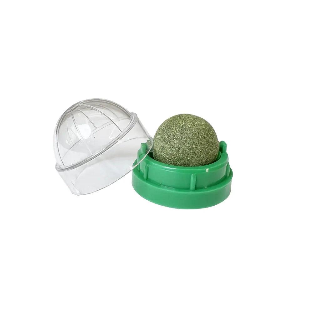 Natural Catnip Wall Ball Toy – Fun & Healthy Treat for Cats