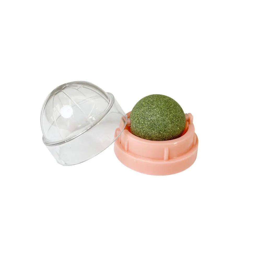 Natural Catnip Wall Ball Toy – Fun & Healthy Treat for Cats