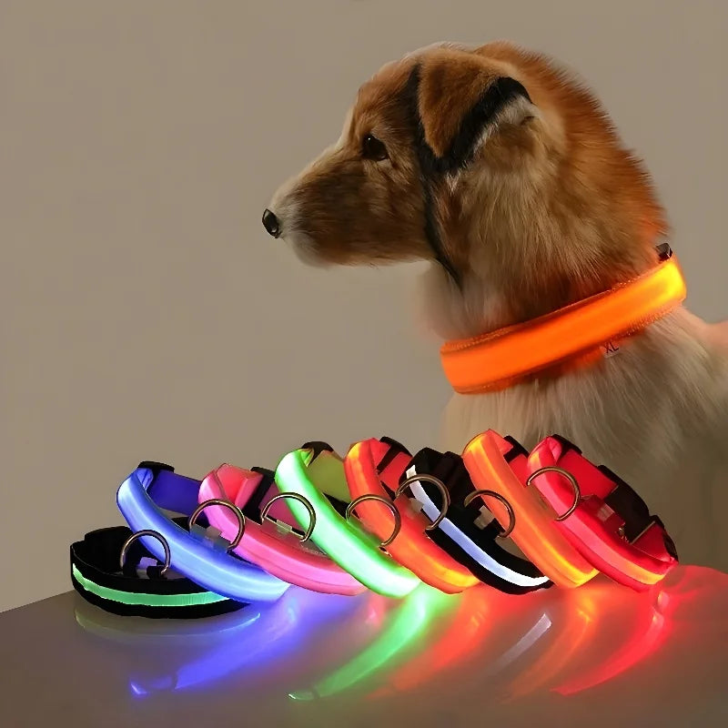 LED Nylon Dog Collar – Night Safety Glow-in-the-Dark Pet Accessory