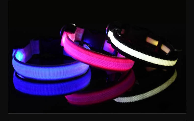 LED Nylon Dog Collar – Night Safety Glow-in-the-Dark Pet Accessory