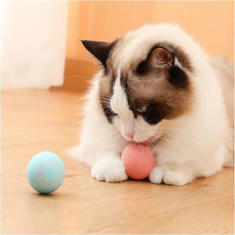 Smart Interactive Dog Toy Ball – USB Rechargeable & Automatic Moving