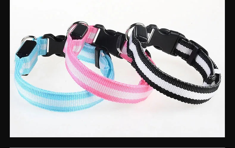 LED Nylon Dog Collar – Night Safety Glow-in-the-Dark Pet Accessory