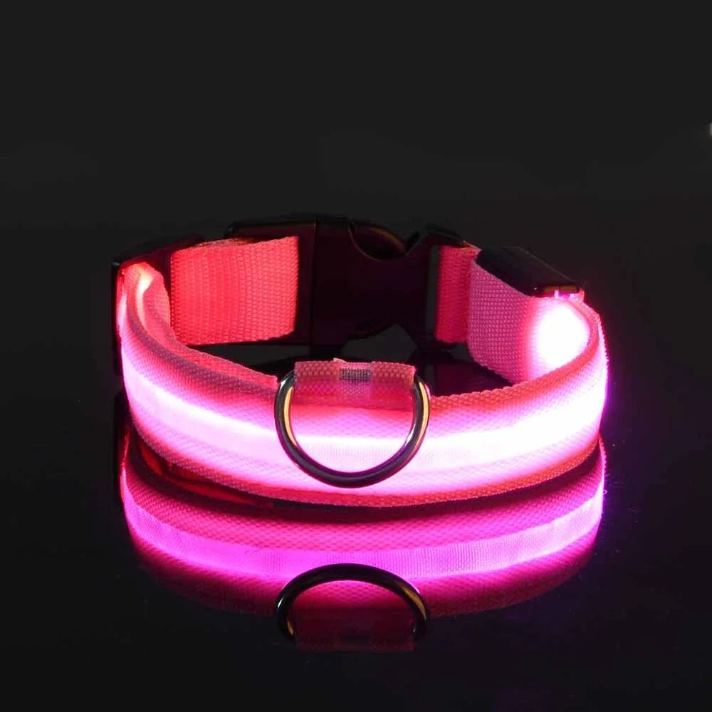 LED Nylon Dog Collar – Night Safety Glow-in-the-Dark Pet Accessory