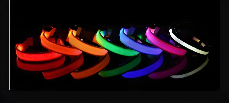 LED Nylon Dog Collar – Night Safety Glow-in-the-Dark Pet Accessory