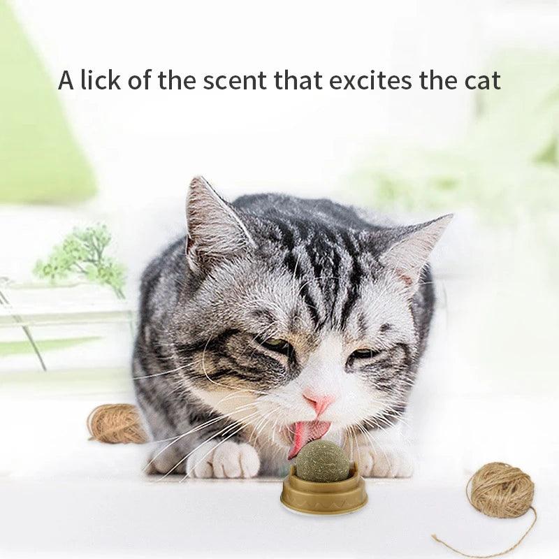 Natural Catnip Wall Ball Toy – Fun & Healthy Treat for Cats
