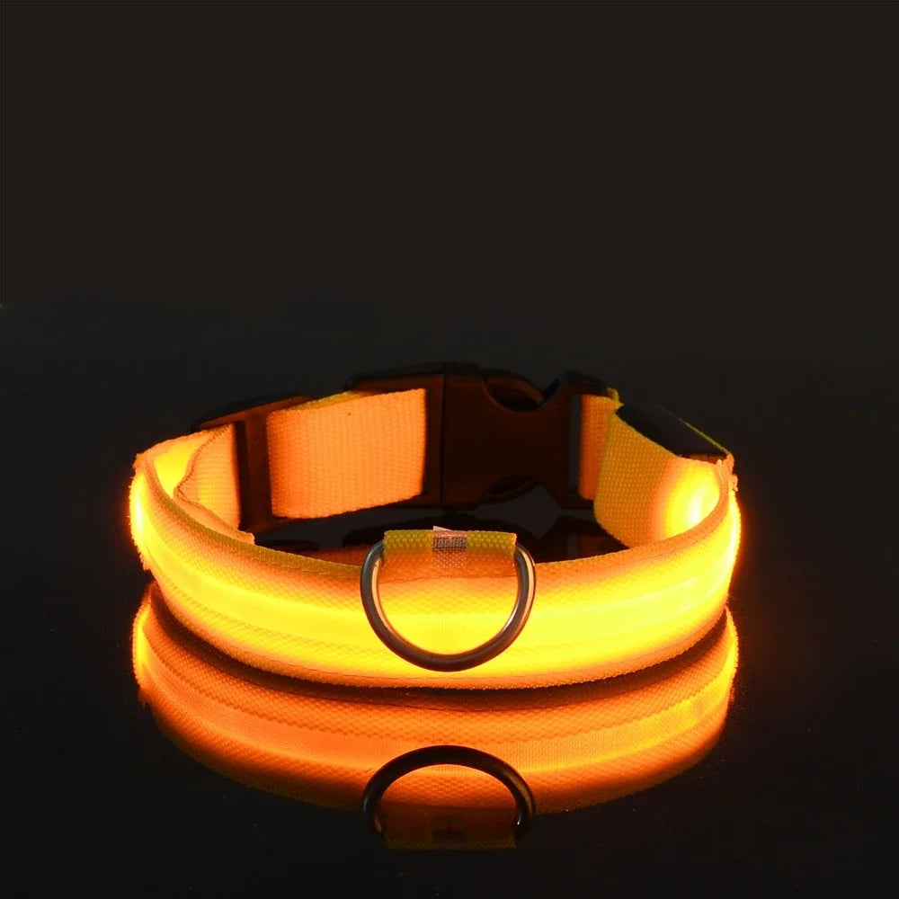 LED Nylon Dog Collar – Night Safety Glow-in-the-Dark Pet Accessory