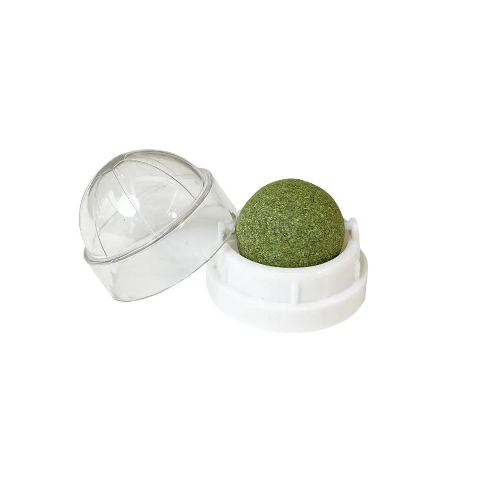 Natural Catnip Wall Ball Toy – Fun & Healthy Treat for Cats